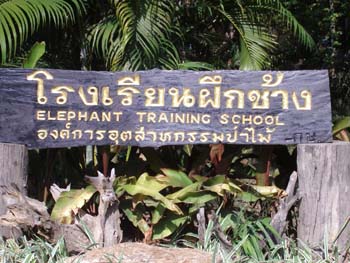 A01 Elephant Training School