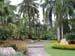 Palm Garden..