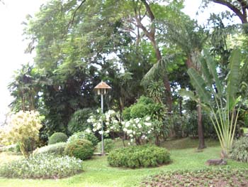 A07 Beautiful Garden