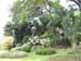 A07 Beautiful Garden