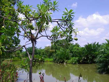 C05 Kuenkan Park