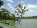C03 Kuenkan Park