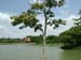 C04 Kuenkan Park