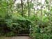 F08 Fern Area