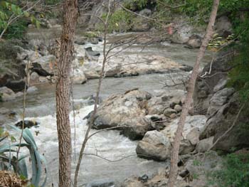 D04 Down Stream