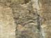 D07 Paints of Prehistoric Human