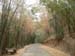 D11 Road to Ob Luang