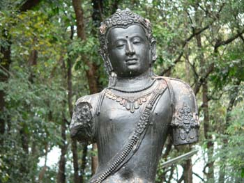 A03 Avarokitesavana