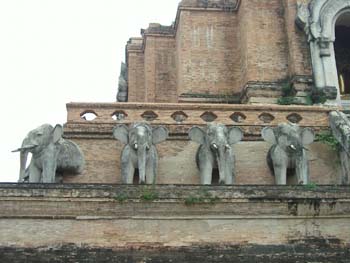 A11.Jedi Luang (g)