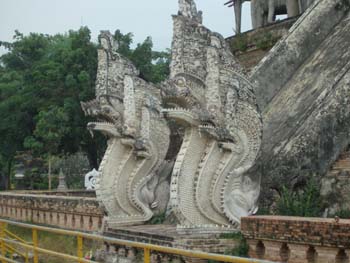A15.Phraya Naga
