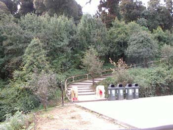 A05 Step to Inthanon