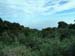 A01 Inthanon Point