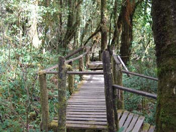 B03 Michael Trail