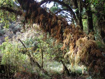 B07 Along the Trail