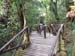 B02 Michael Trail