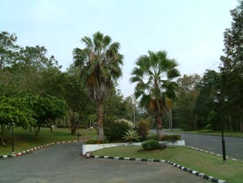 C09 Surrounding