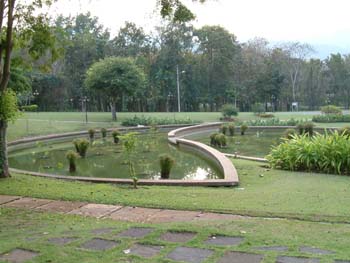 C11 Levelling Ponds