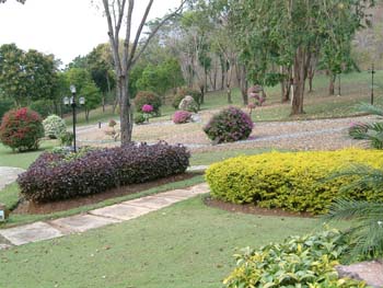 C14 Landscaping