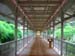 11.Corridor to Bldg.