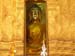 B06 Budha covered