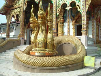 C02.Naga in front