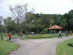 Chinese Exercise