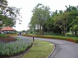 Curve Sidewalk