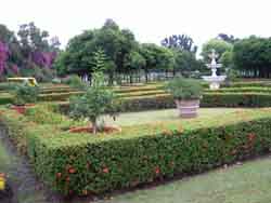 English Garden