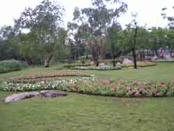 Harmony on Ground