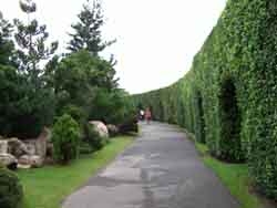 Int'l Garden Sidewalk
