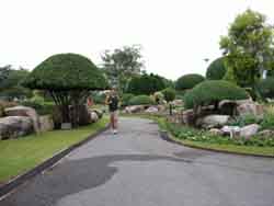Jog