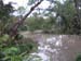 -Pond Garden-