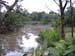 -Pond Garden