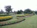 Decor on Green