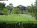 Green outside Bldg.