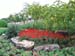 Harmonious Plants