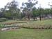 Harmony on Ground