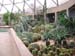 Interior Geodesic Dome