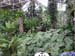 Interior Indoor Garden..