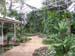Interior Indoor Garden.