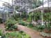 Interior Indoor Garden