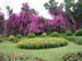 Pink Outstanding