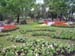 Plants on Green