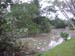 Pond Garden - SL.