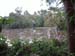 Pond Garden