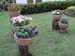 Potted Plants Raised