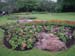 Rocks & Plants