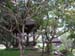Shelter under Trees