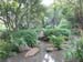 Stream in Forest Area