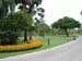 Walkway Palm
